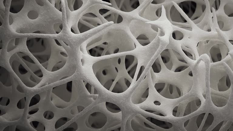 Cellular regeneration and tissue repair
